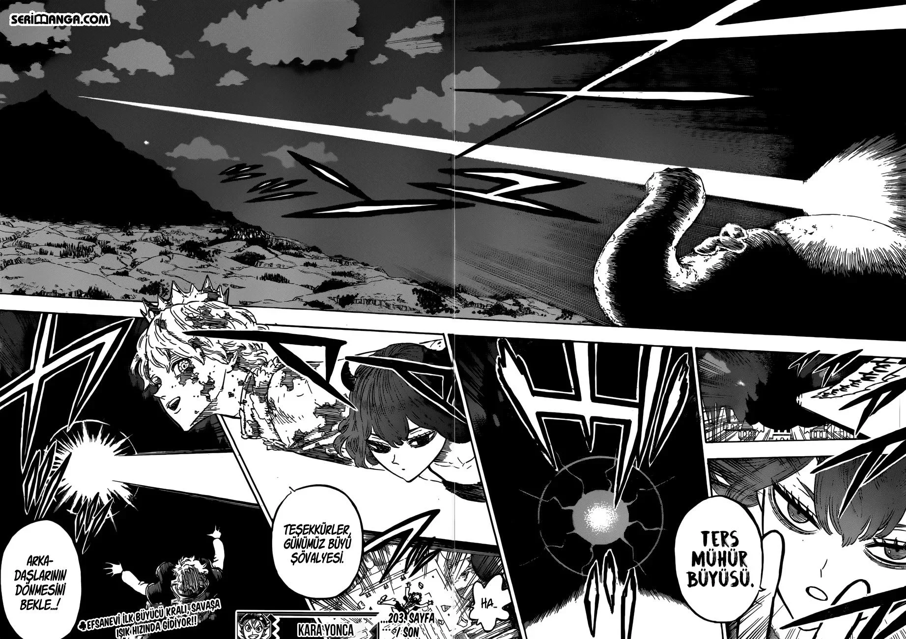 Black Clover - Bölüm 203 - Sayfa 14