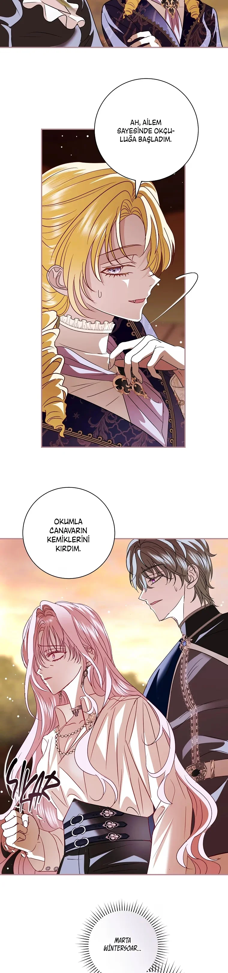 Villain, I'll Do Everything Except Marriage for You! - Bölüm 27 - Sayfa 28