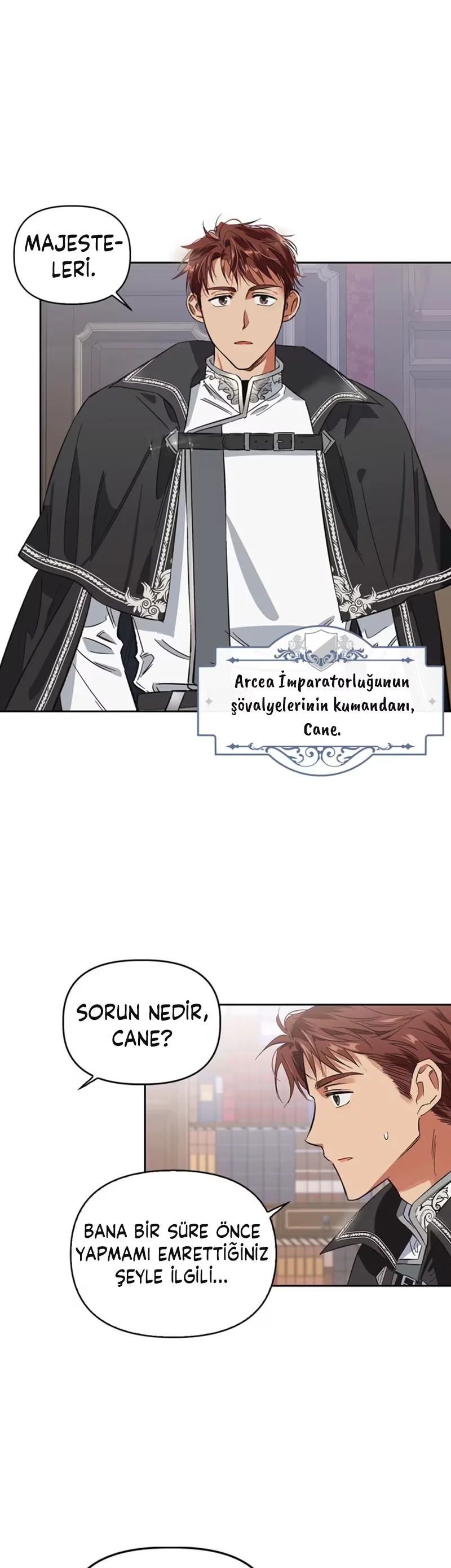 A Villain Is a Good Match for a Tyrant - Bölüm 3 - Sayfa 23