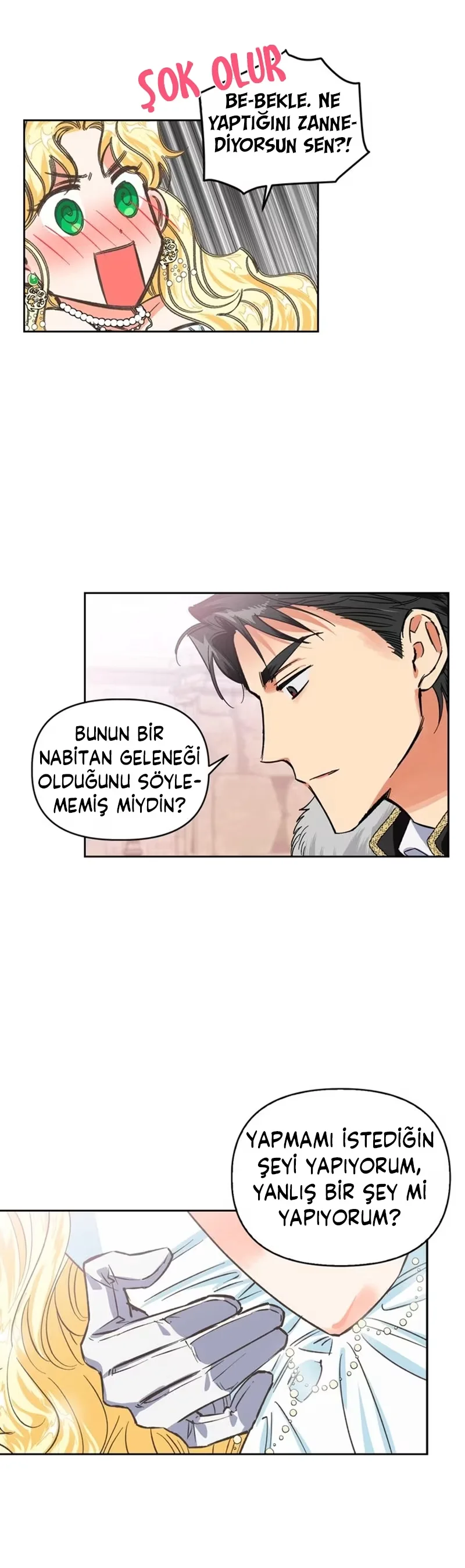 A Villain Is a Good Match for a Tyrant - Bölüm 3 - Sayfa 5