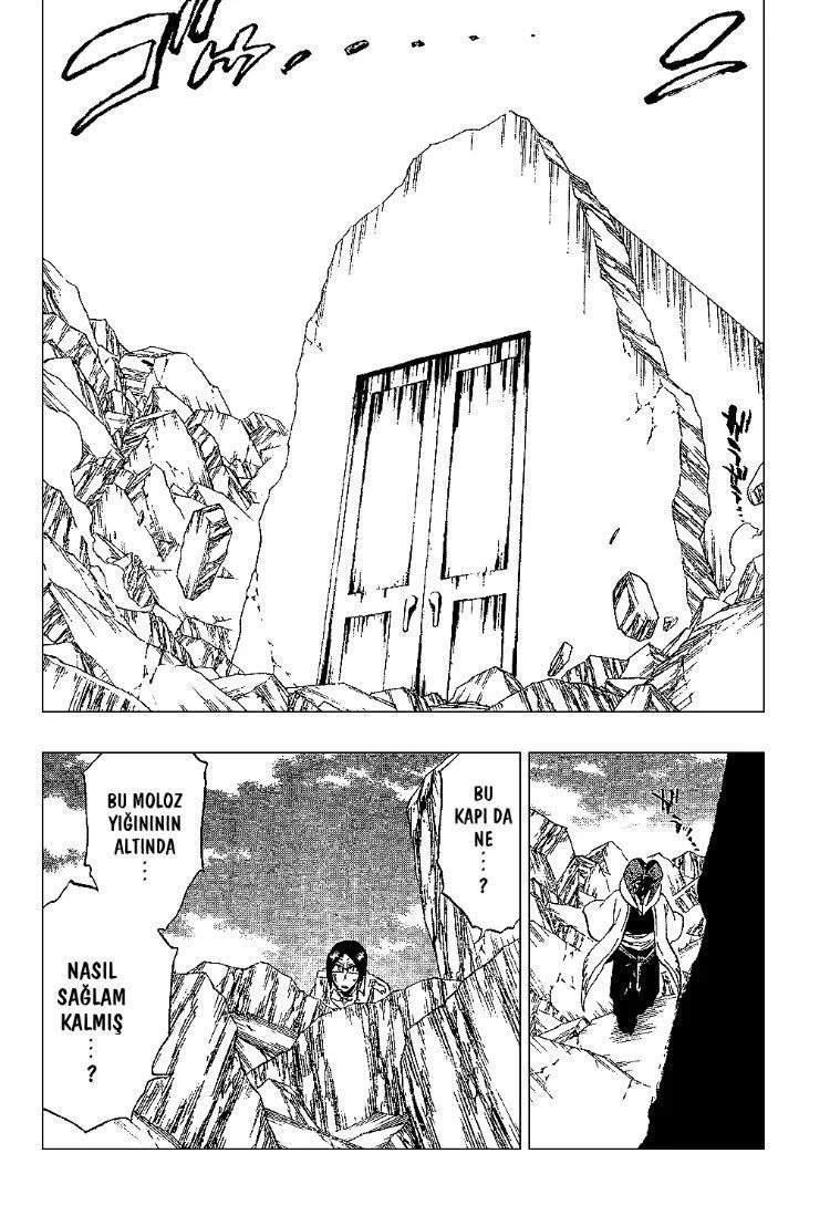 Bleach - Bölüm 306 - Sayfa 14