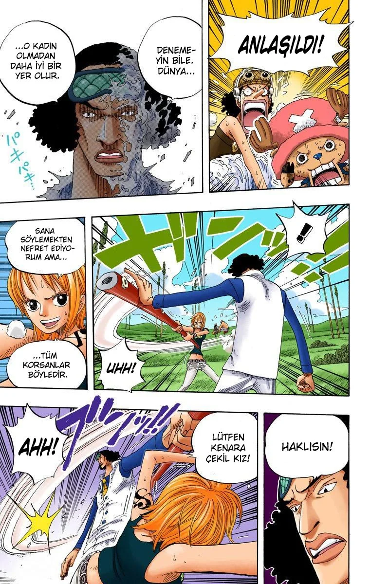 One Piece - Bölüm 320 - Sayfa 17