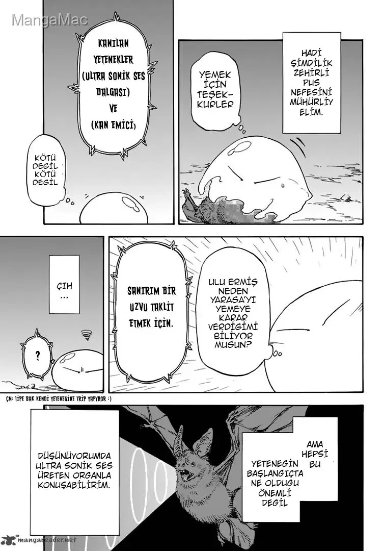 That Time I Got Reincarnated as a Slime - Bölüm 3 - Sayfa 13