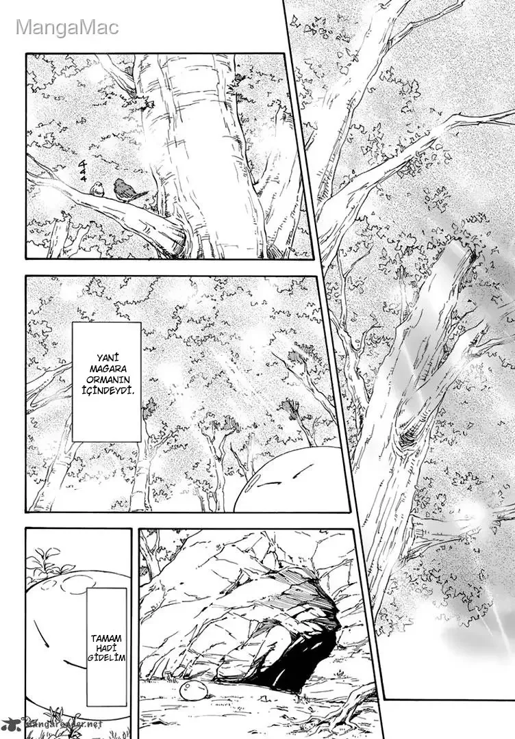 That Time I Got Reincarnated as a Slime - Bölüm 3 - Sayfa 16