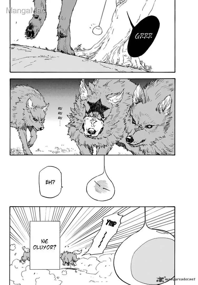 That Time I Got Reincarnated as a Slime - Bölüm 3 - Sayfa 18