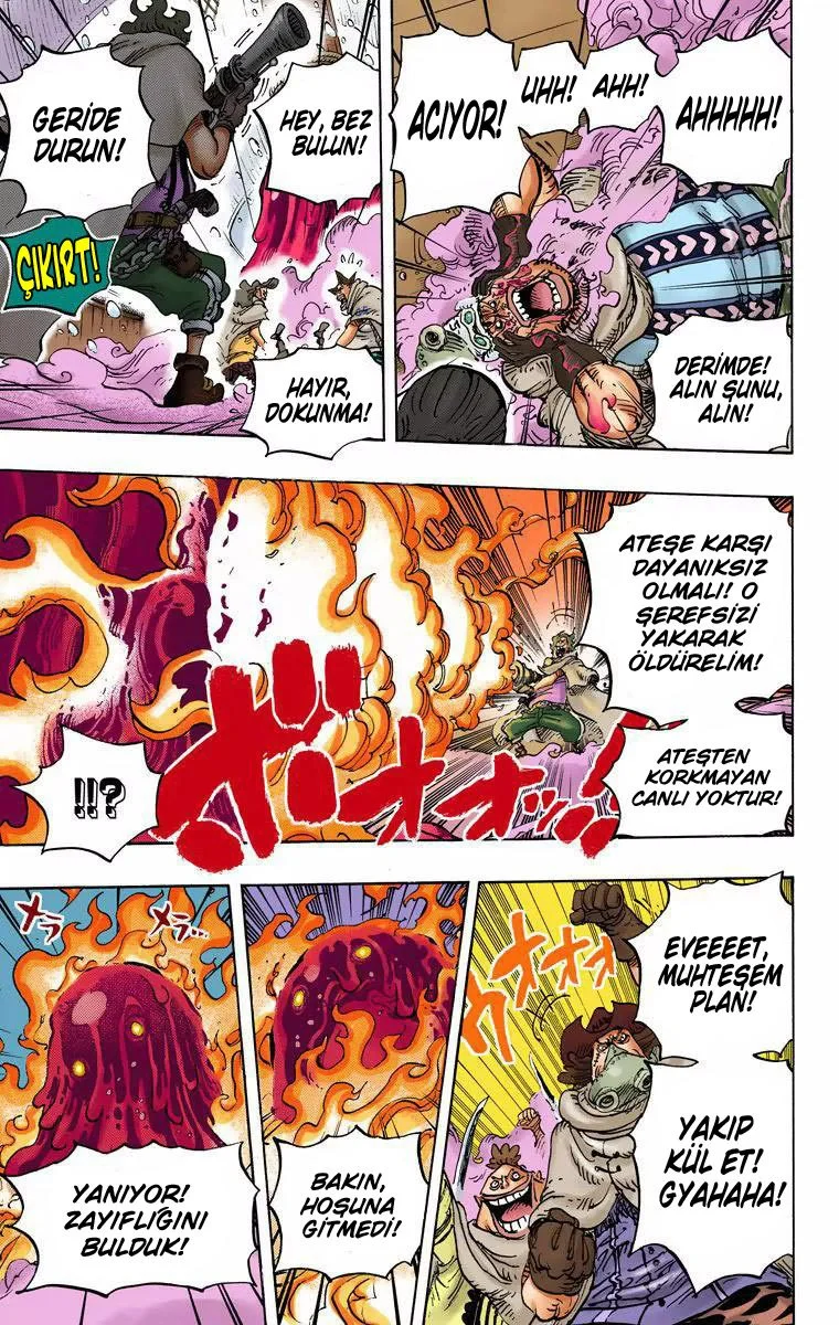 One Piece - Bölüm 670 - Sayfa 11
