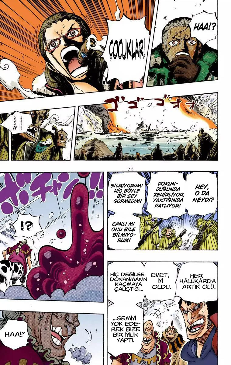 One Piece - Bölüm 670 - Sayfa 13
