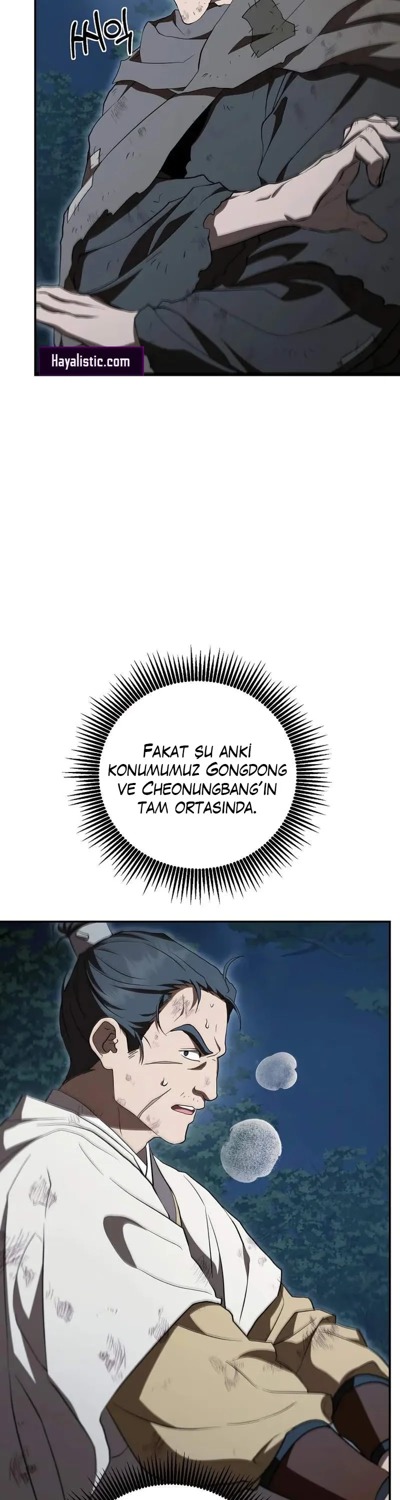 Wandering Warrior of Wudang - Bölüm 152 - Sayfa 10