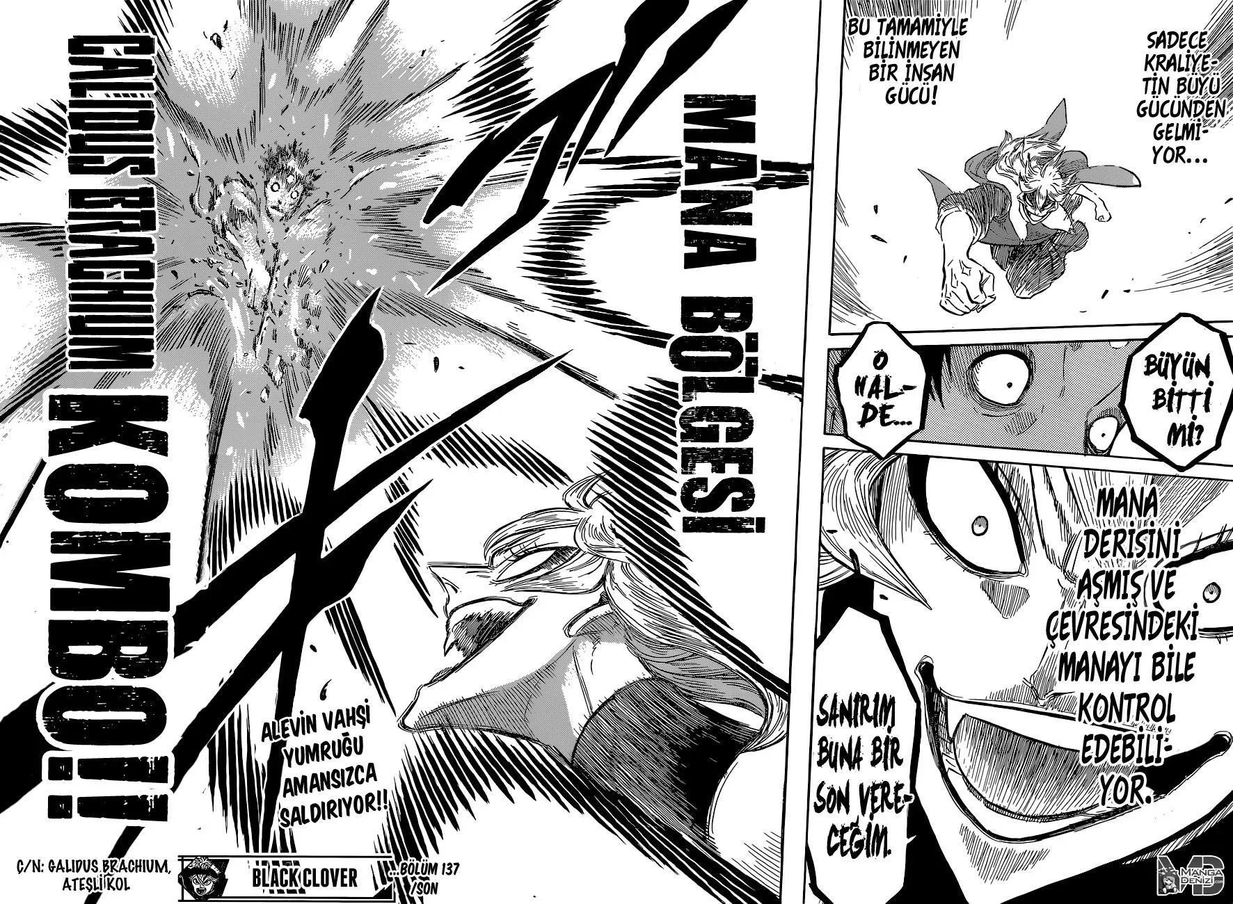 Black Clover - Bölüm 137 - Sayfa 16