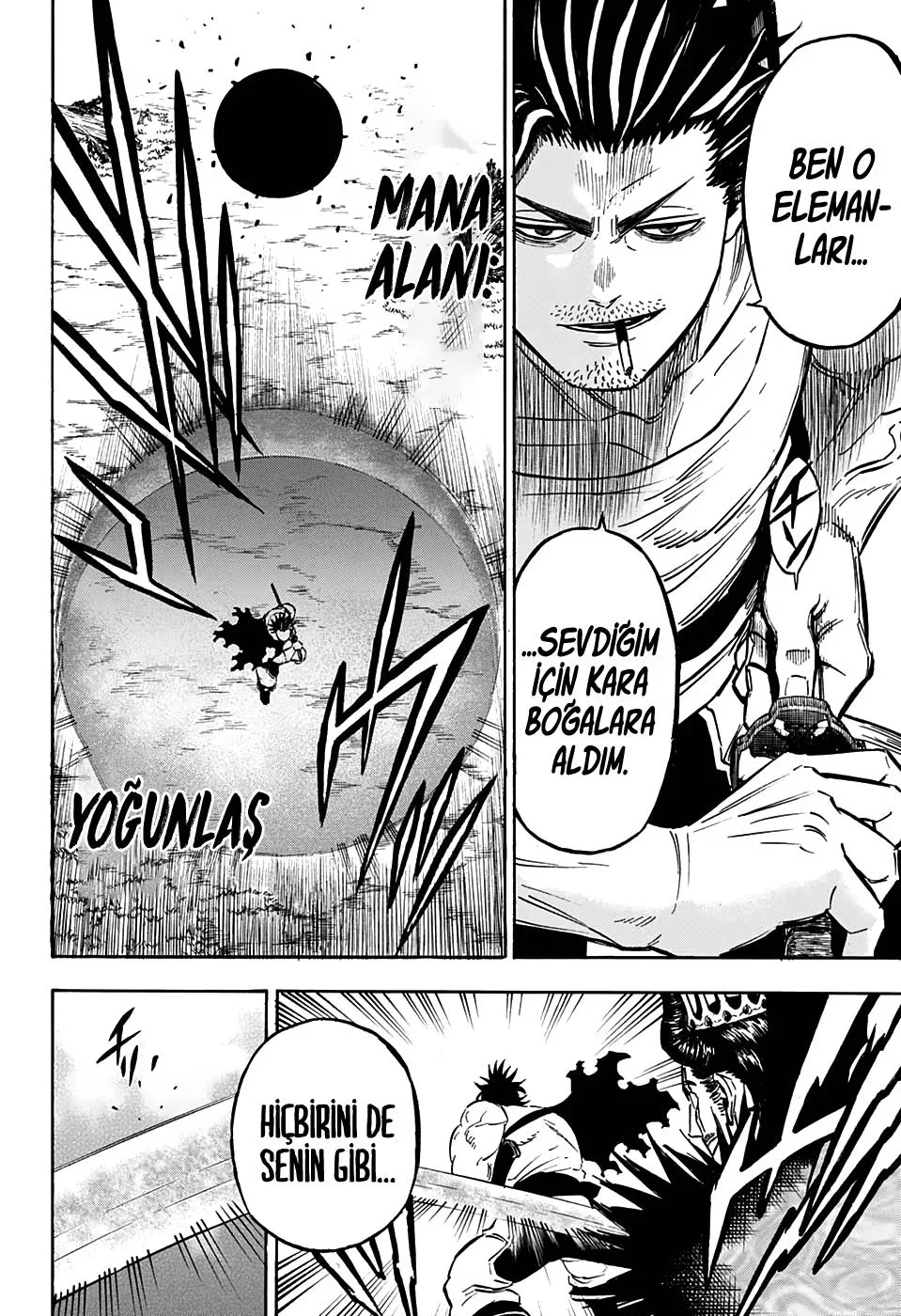 Black Clover - Bölüm 245 - Sayfa 14
