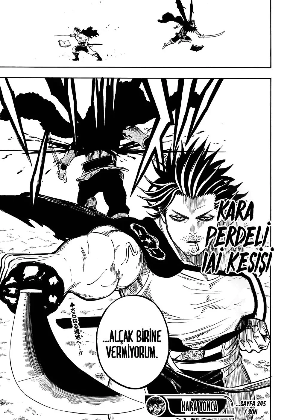 Black Clover - Bölüm 245 - Sayfa 15