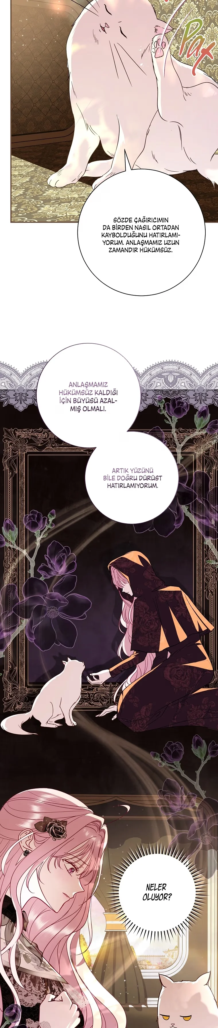 Villain, I'll Do Everything Except Marriage for You! - Bölüm 10 - Sayfa 5