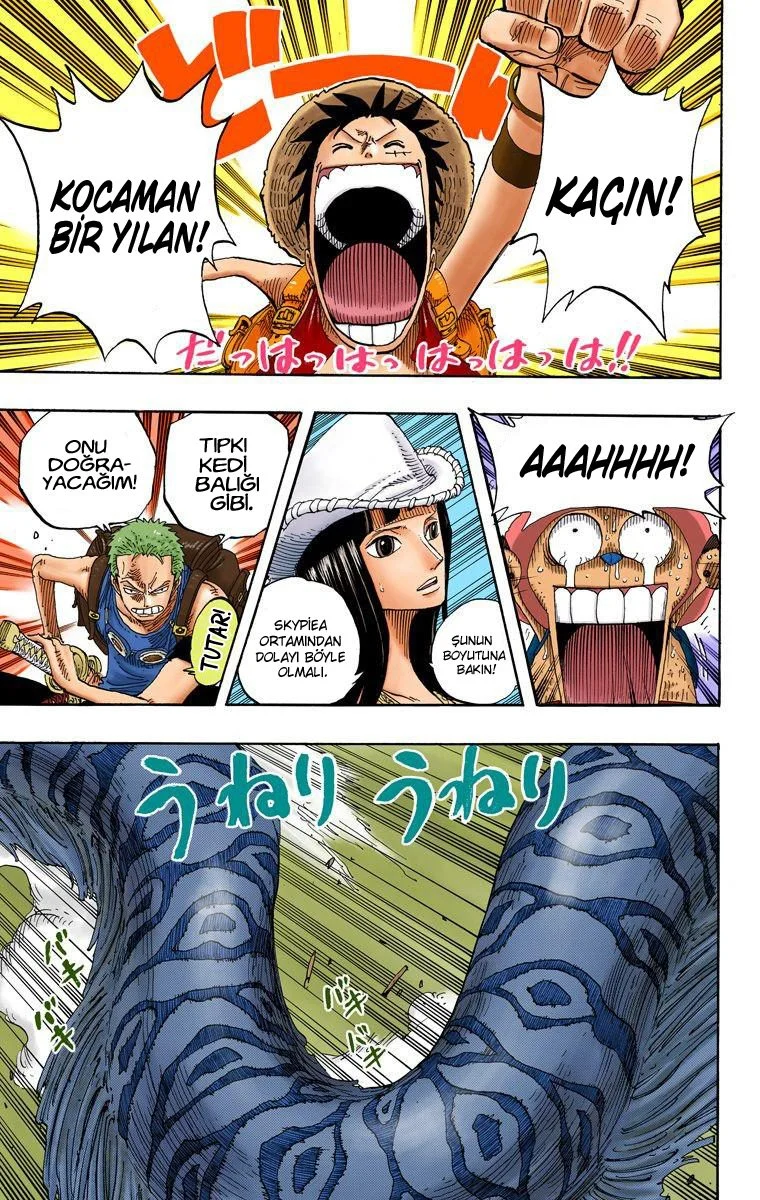 One Piece - Bölüm 255 - Sayfa 13
