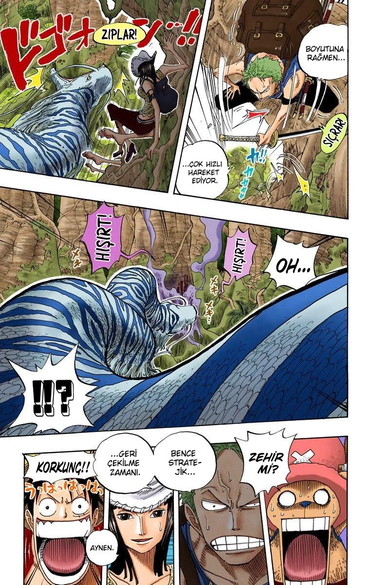 One Piece - Bölüm 255 - Sayfa 15