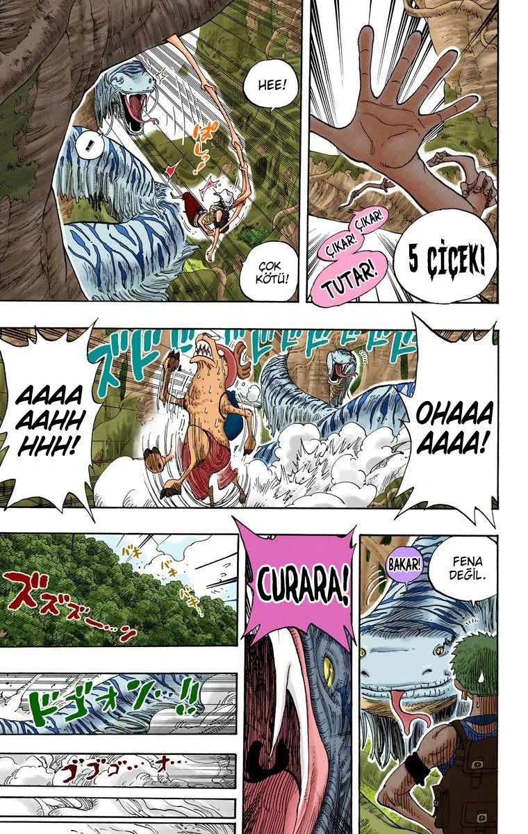 One Piece - Bölüm 255 - Sayfa 17