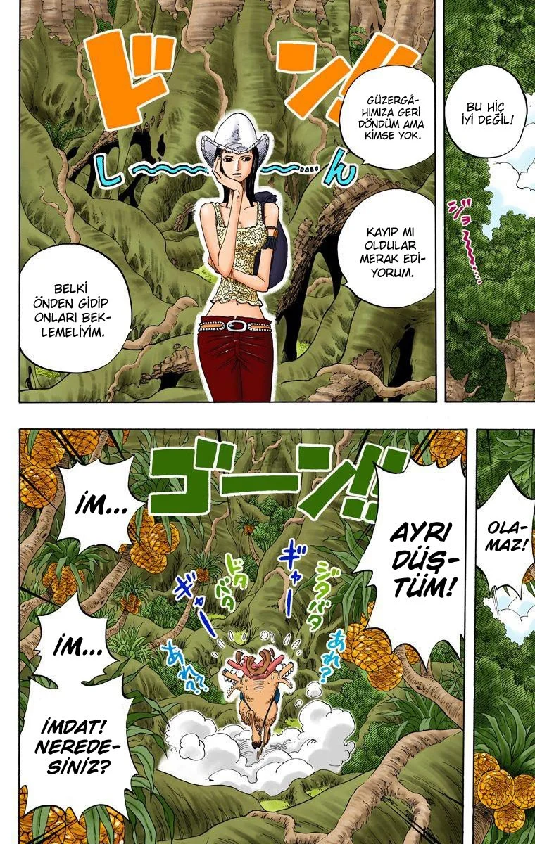 One Piece - Bölüm 255 - Sayfa 18