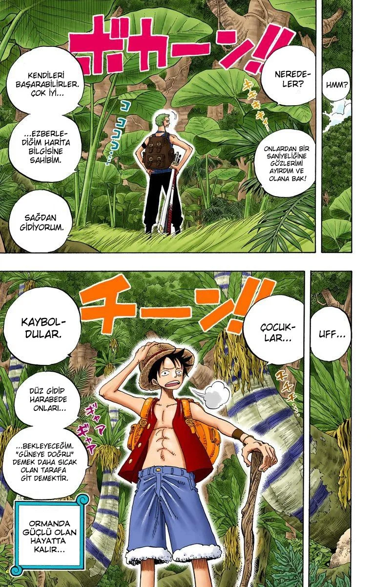 One Piece - Bölüm 255 - Sayfa 19