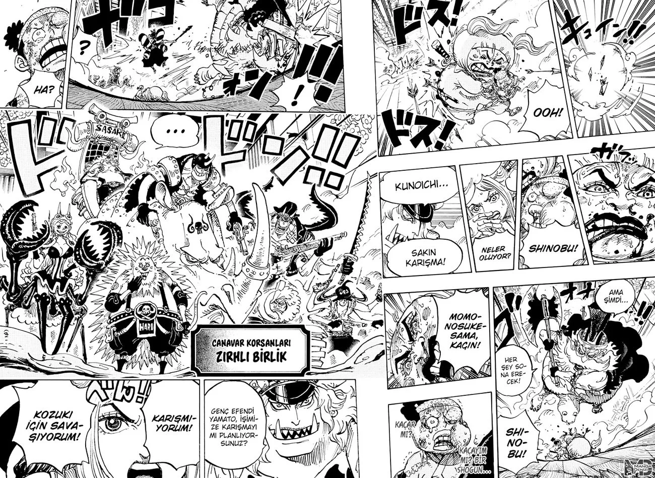 One Piece - Bölüm 993 - Sayfa 12