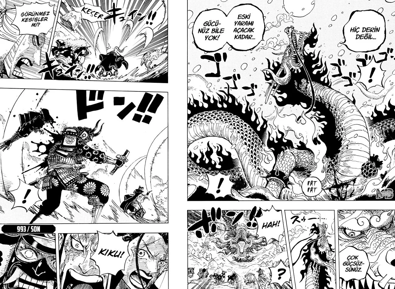 One Piece - Bölüm 993 - Sayfa 15