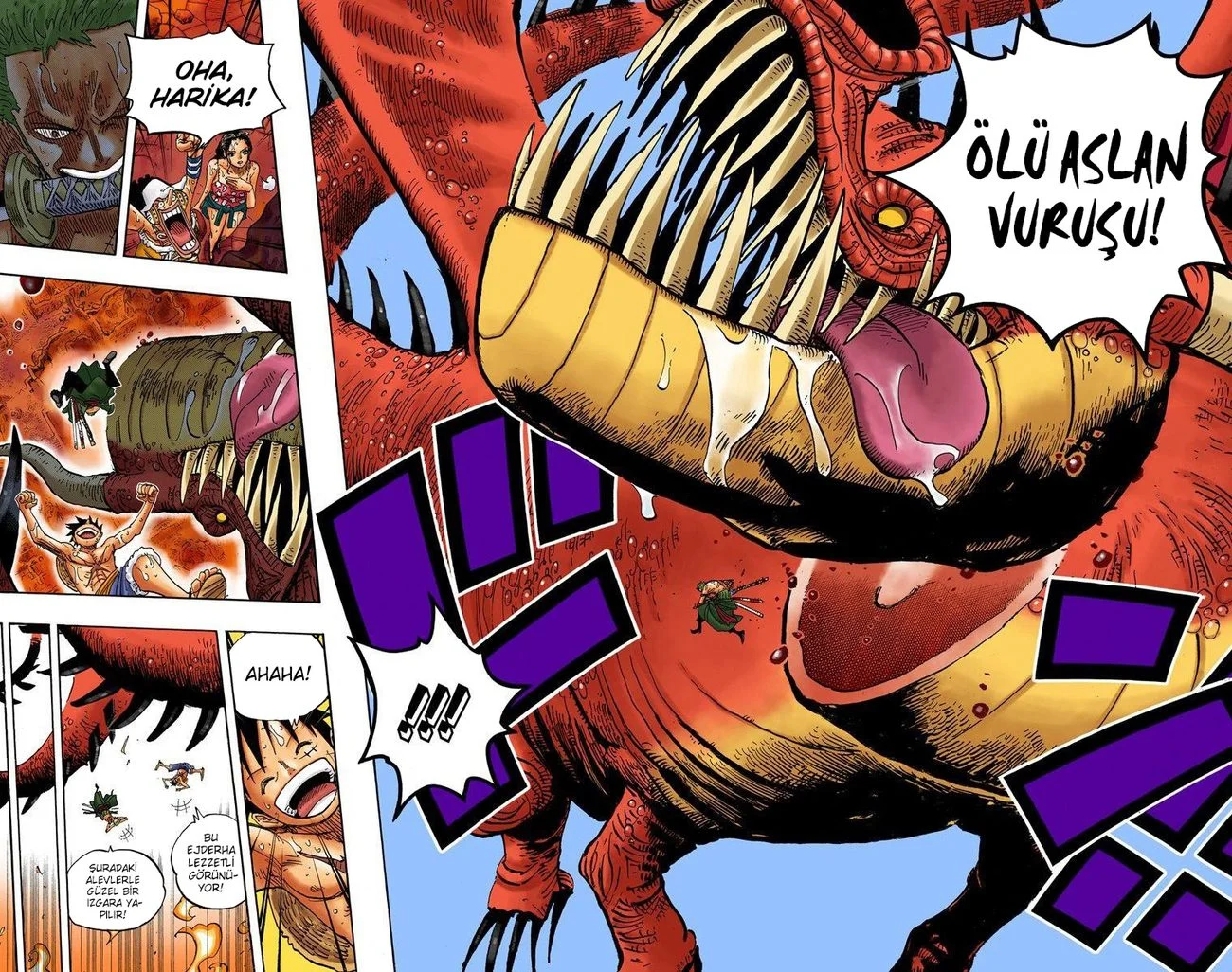 One Piece - Bölüm 656 - Sayfa 14