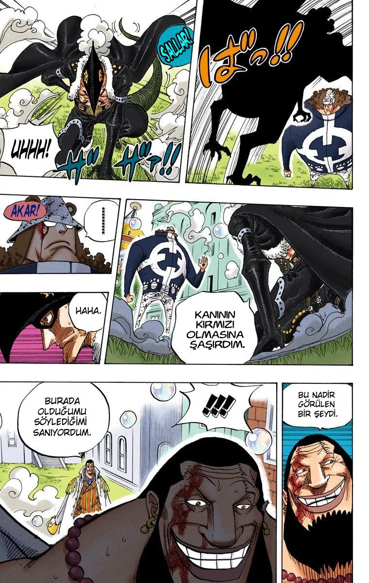 One Piece - Bölüm 509 - Sayfa 13