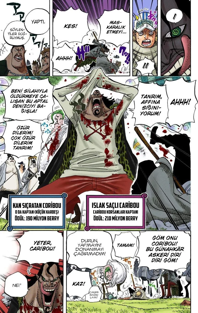 One Piece - Bölüm 600 - Sayfa 9