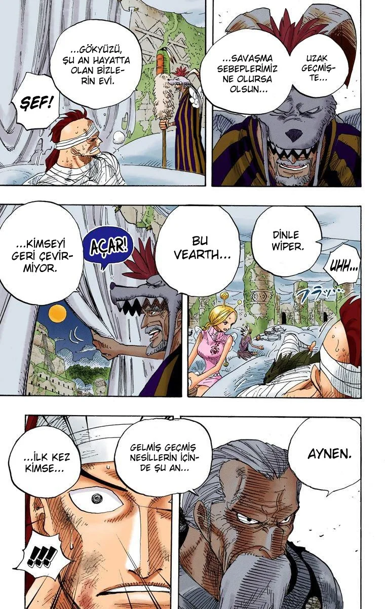 One Piece - Bölüm 300 - Sayfa 14