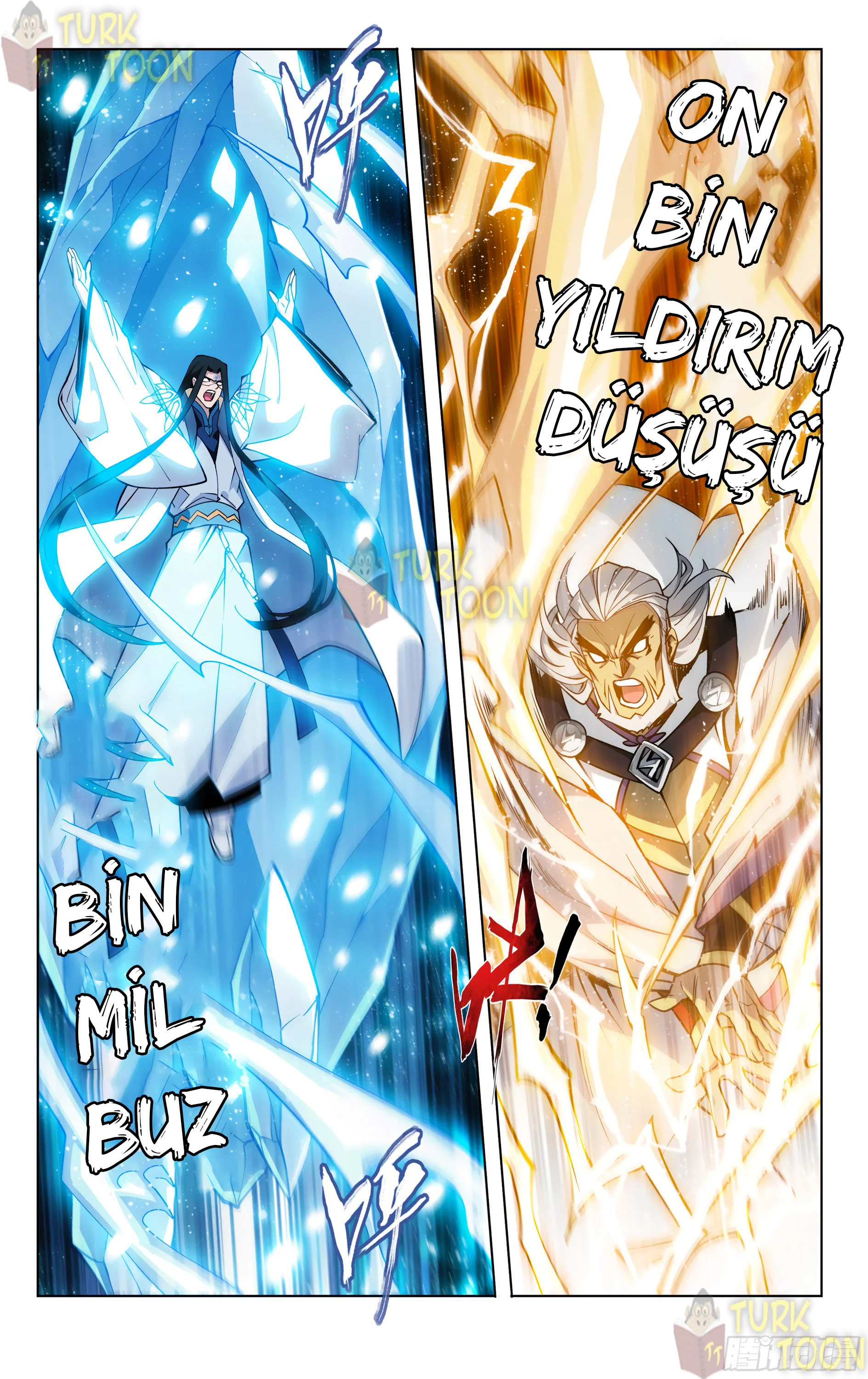 Battle Through the Heavens - Bölüm 317 - Sayfa 4