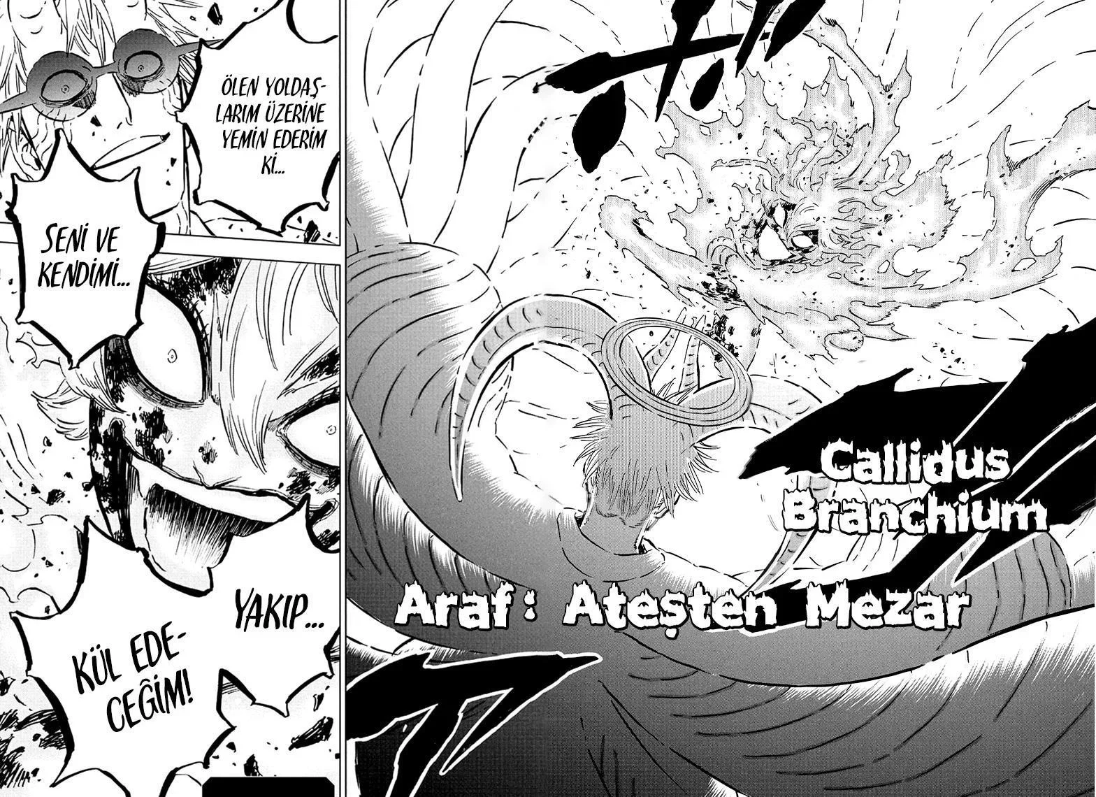 Black Clover - Bölüm 358 - Sayfa 14