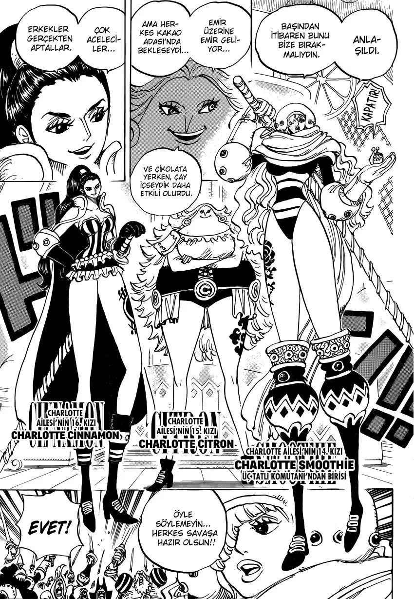 One Piece - Bölüm 892 - Sayfa 11