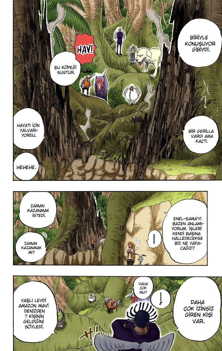 One Piece - Bölüm 241 - Sayfa 13