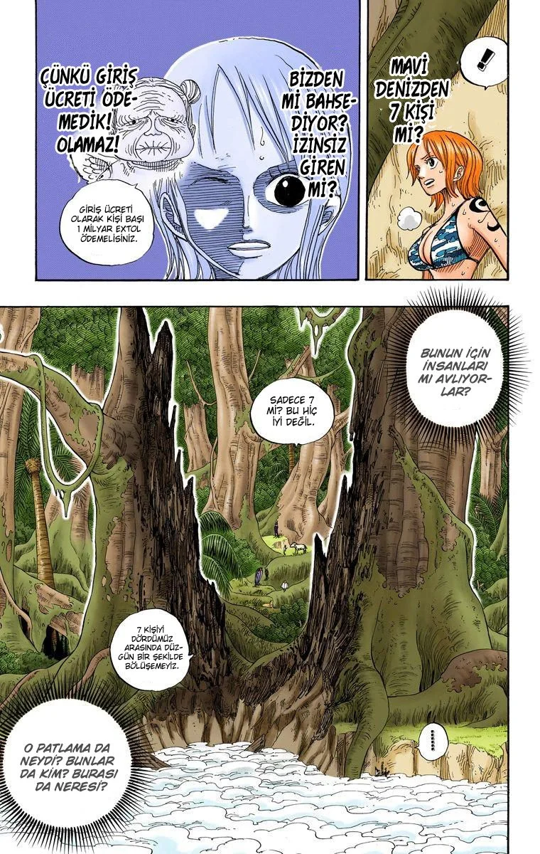 One Piece - Bölüm 241 - Sayfa 14