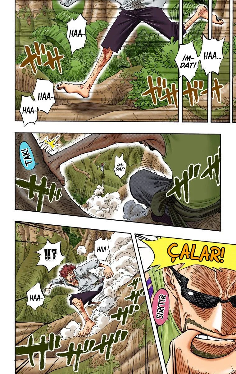 One Piece - Bölüm 241 - Sayfa 5