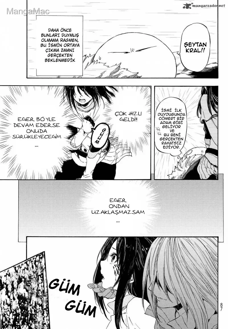That Time I Got Reincarnated as a Slime - Bölüm 9 - Sayfa 17