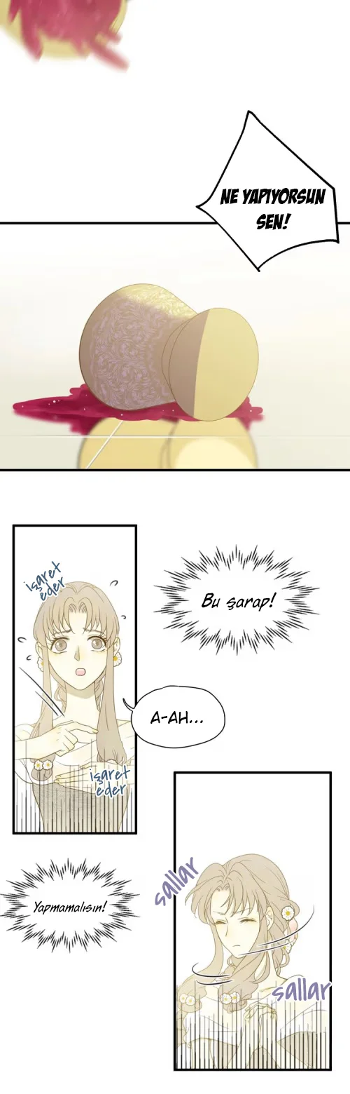 Tyrant's Tears - Bölüm 2 - Sayfa 46