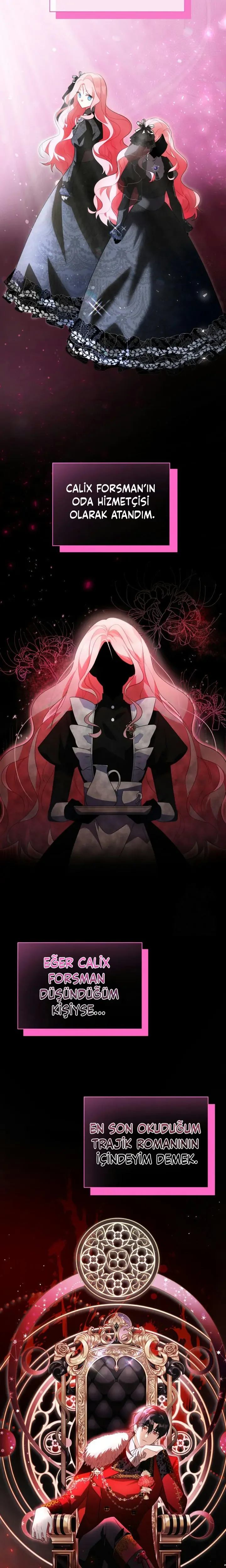 I Became a Tyrant’s Maid - Bölüm 2 - Sayfa 6