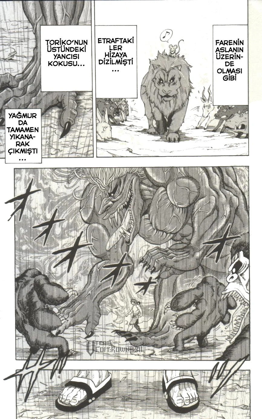 Toriko - Bölüm 6 - Sayfa 17