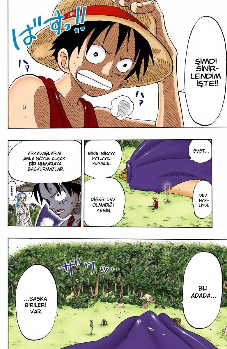One Piece - Bölüm 118 - Sayfa 10