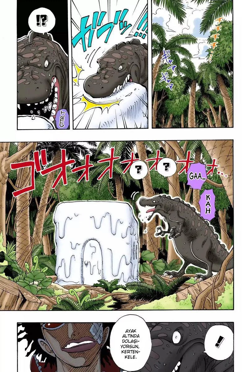 One Piece - Bölüm 118 - Sayfa 11