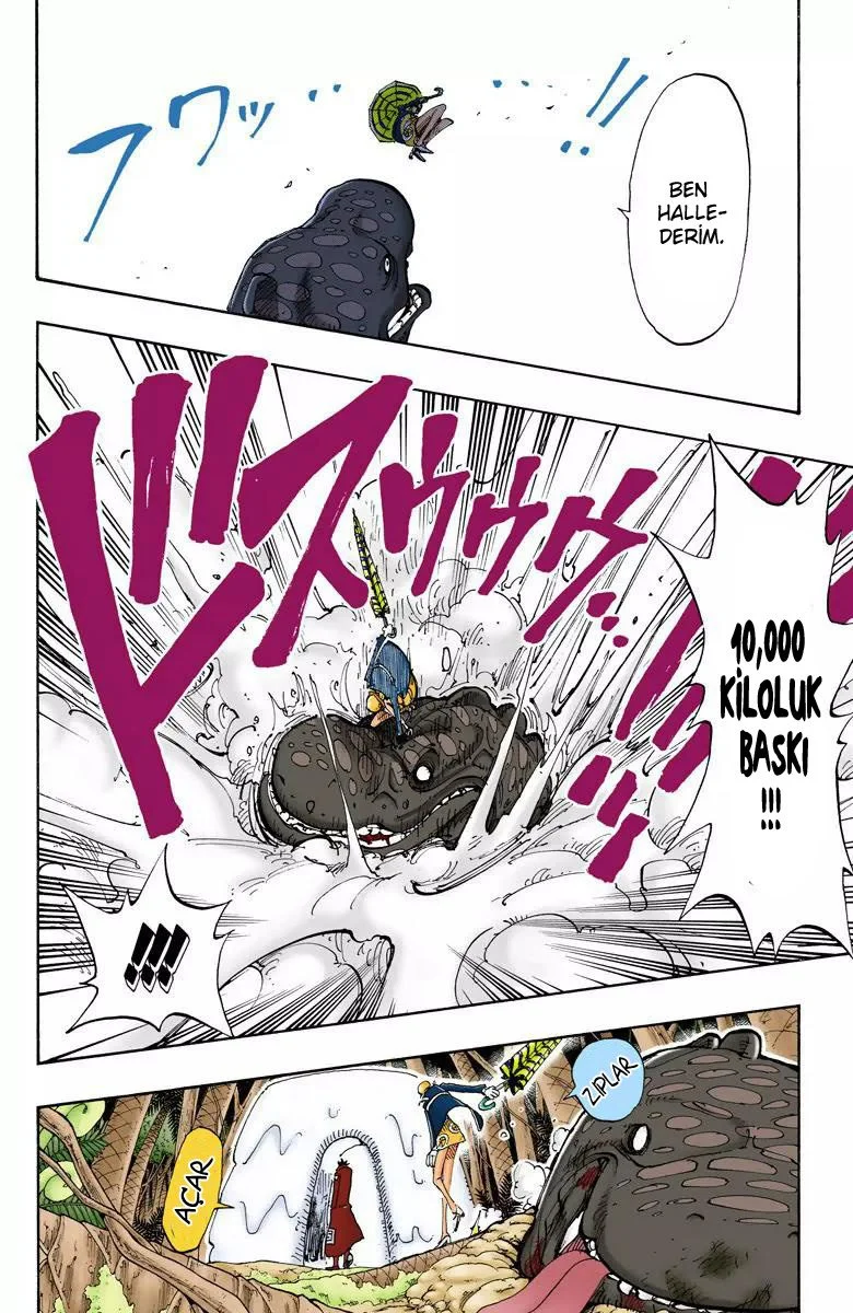One Piece - Bölüm 118 - Sayfa 12