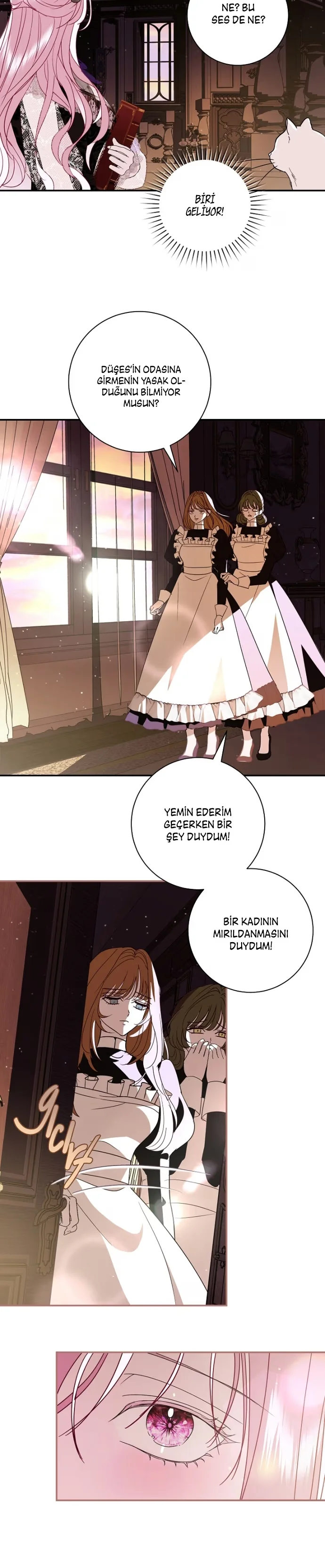 Villain, I'll Do Everything Except Marriage for You! - Bölüm 9 - Sayfa 27