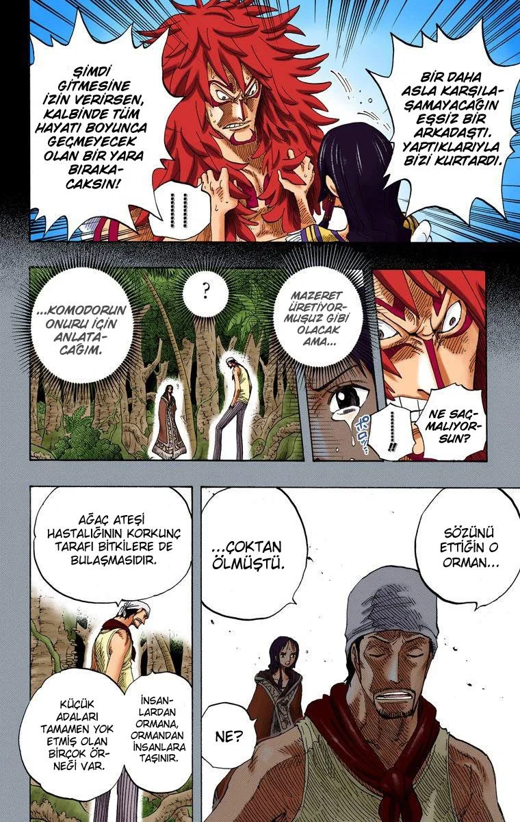One Piece - Bölüm 291 - Sayfa 12