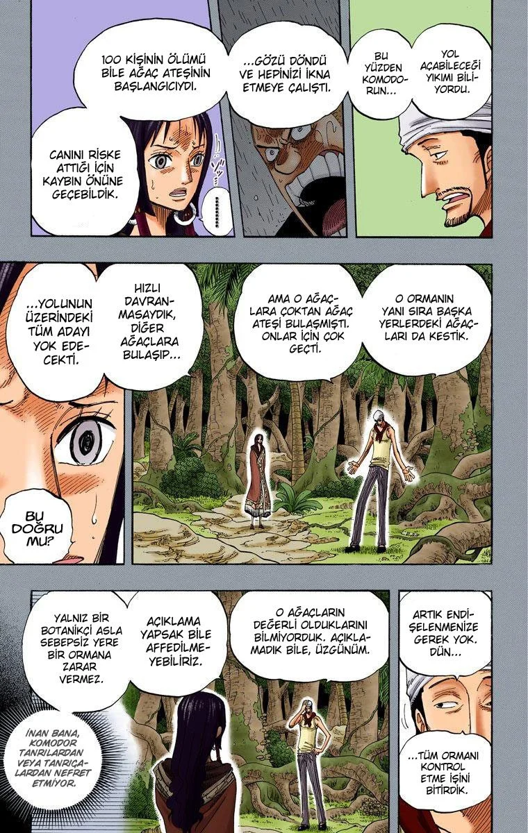 One Piece - Bölüm 291 - Sayfa 13