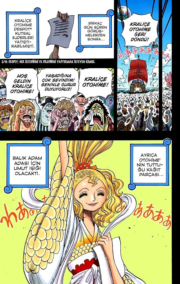 One Piece - Bölüm 625 - Sayfa 18