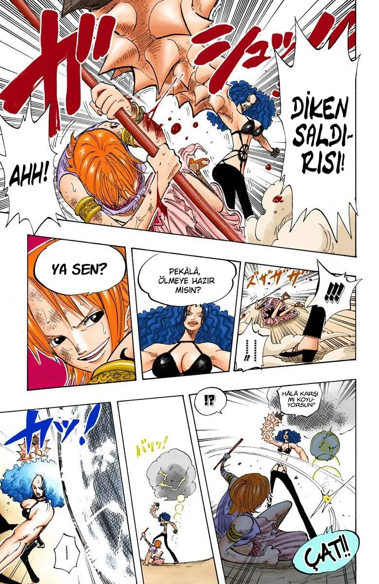 One Piece - Bölüm 192 - Sayfa 17