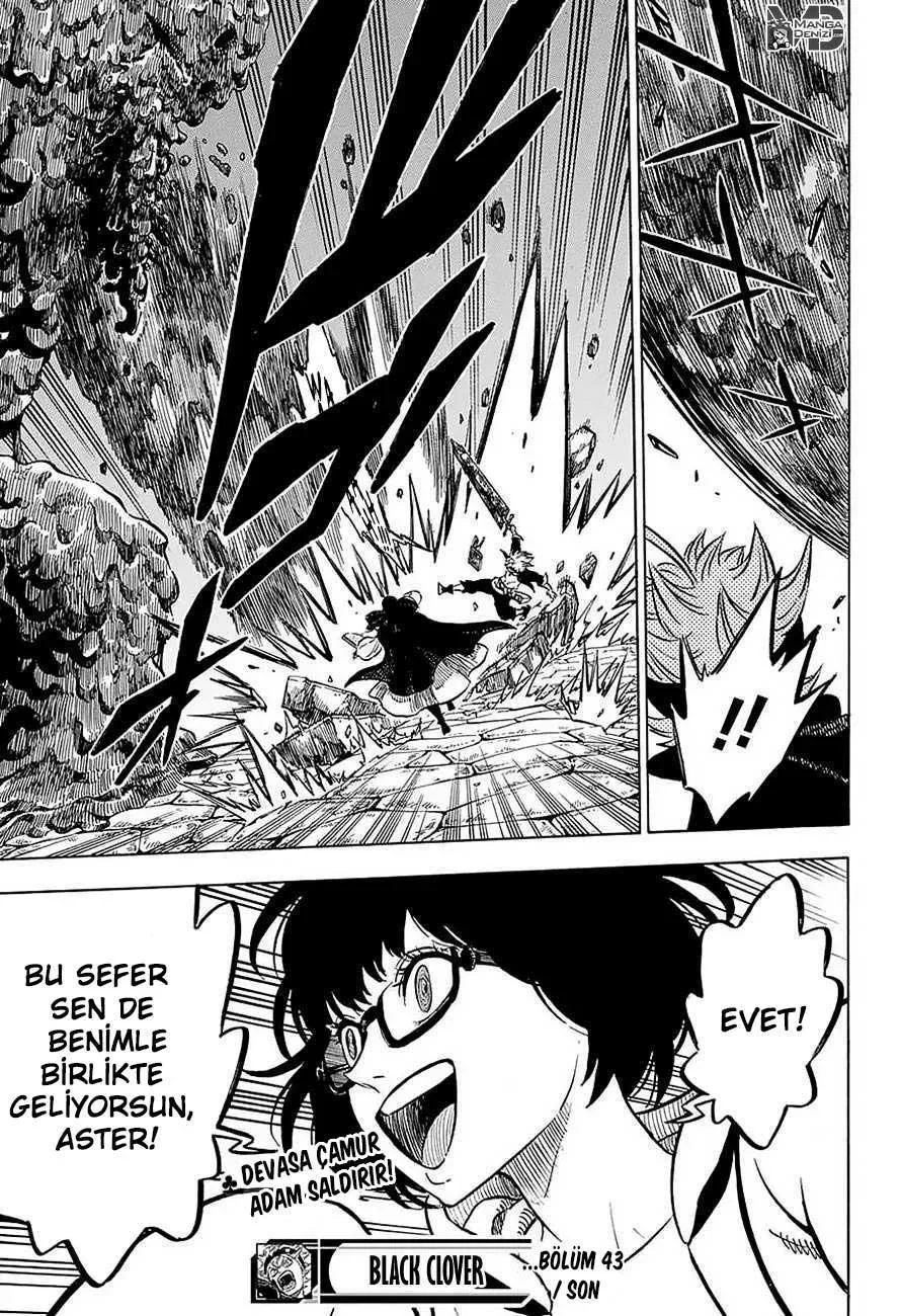 Black Clover - Bölüm 43 - Sayfa 17