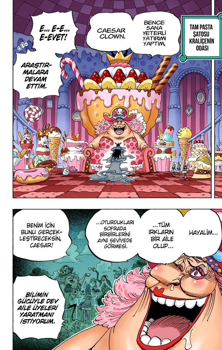 One Piece - Bölüm 834 - Sayfa 12