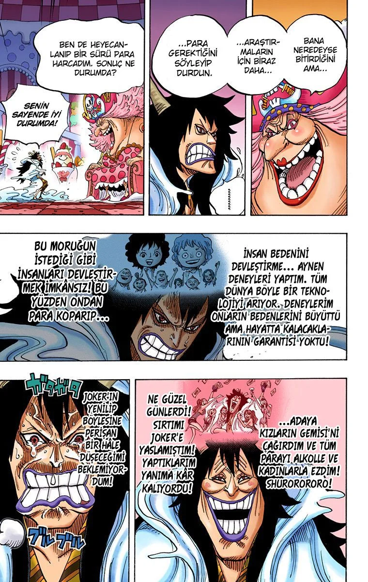 One Piece - Bölüm 834 - Sayfa 13