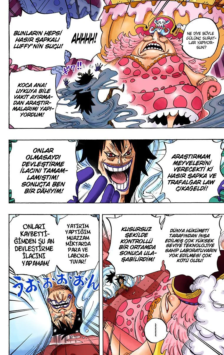 One Piece - Bölüm 834 - Sayfa 14
