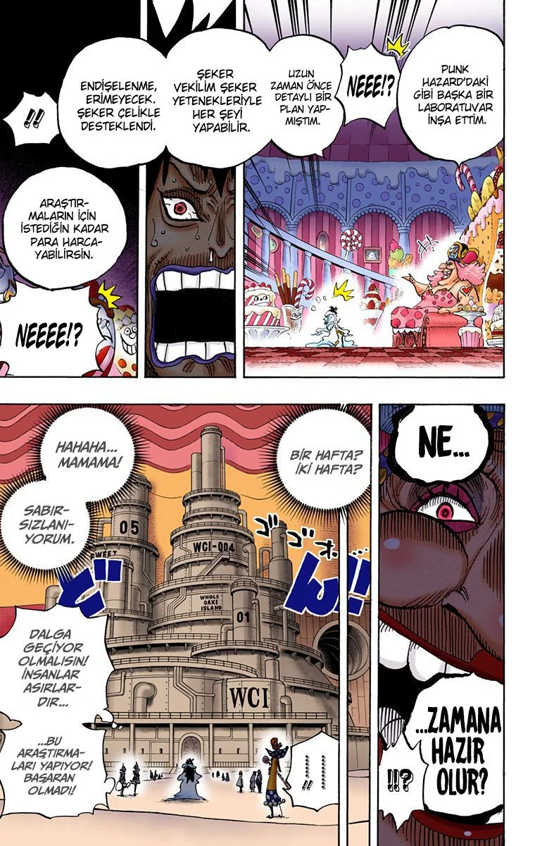 One Piece - Bölüm 834 - Sayfa 15